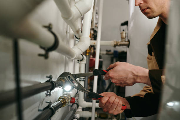 Best Drain Cleaning Services  in Alamo, TX