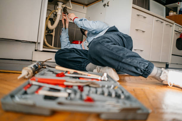 Best Residential Plumbing Services  in Alamo, TX