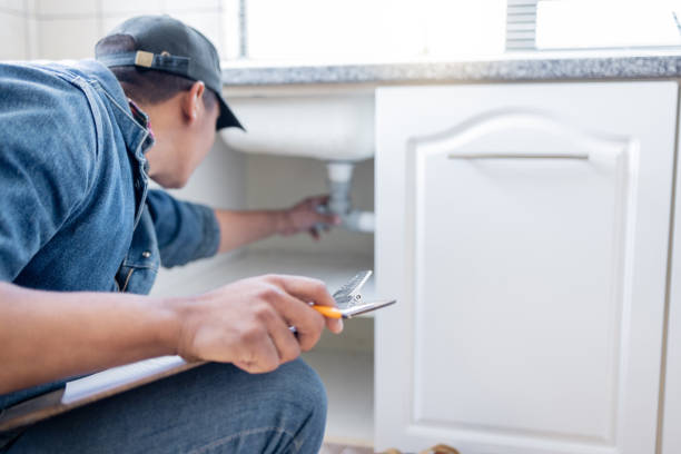 Best Water Softener Installation  in Alamo, TX