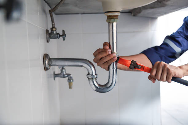 Best Commercial Plumbing Services  in Alamo, TX