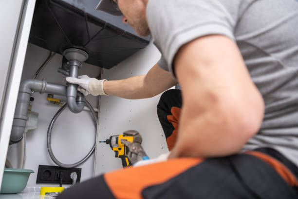 Best Plumbing Services Near Me  in Alamo, TX